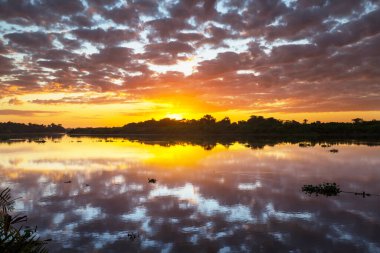 Sunset scene on the lake at sunset summer nature landscapes