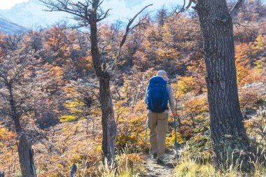Sonbahar dağlarında yürüyüş. Sonbahar mevsimi teması.