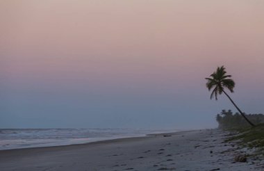 Tropikal sahildeki güzel yaz manzaraları. Tatil arkaplanı.