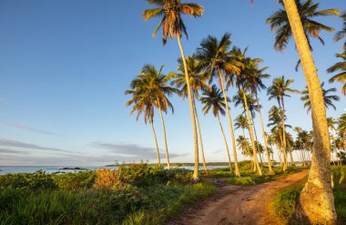Tropikal sahildeki güzel yaz manzaraları. Tatil arkaplanı.