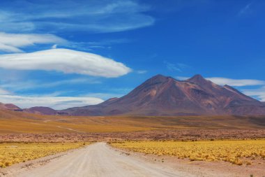 desert at sunrise, Chile, Atacama clipart