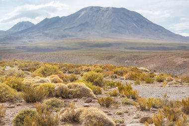 Gün doğumunda çöl, Şili, Atacama