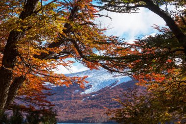 Dağlarda renkli sonbahar mevsimi