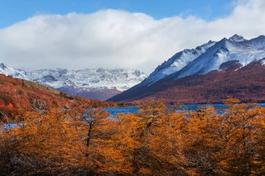 Güz mevsiminde güzel göl