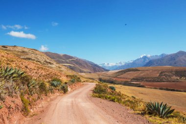 Peru, Güney Amerika 'daki yeşil dağlardaki tarım arazileri