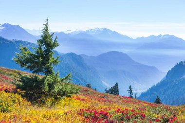 North Cascade Range, Washington, ABD 'deki güzel dağ zirvesi.