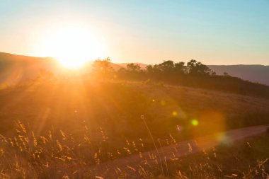 Brezilya, Güney Amerika 'da güzel yeşil kırsal alanlar
