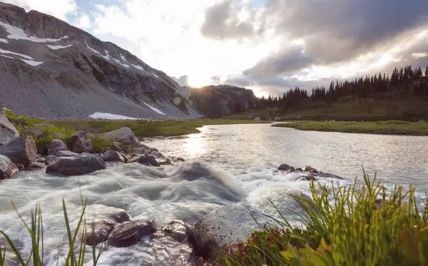 Fresh stream in high mountains