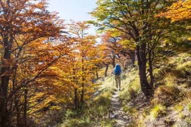Sonbahar dağlarında yürüyüş. Sonbahar mevsimi teması.