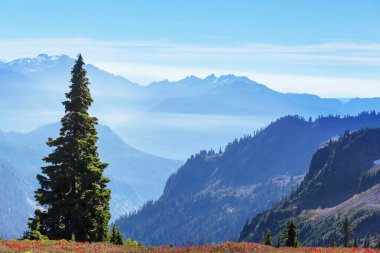 North Cascade Range, Washington, ABD 'deki güzel dağ zirvesi.