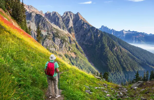 Mt. Baker recreation area, Washington, USA in early summer