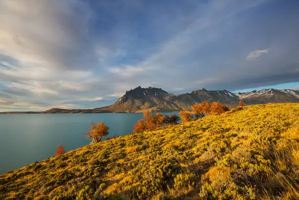 Perito Moreno Ulusal Parkı, Arjantin, Güney Amerika. Güzel renkli sonbahar mevsimi.