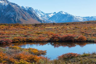 Patagonya dağlarında sonbahar sezonu, Güney Amerika, Arjantin