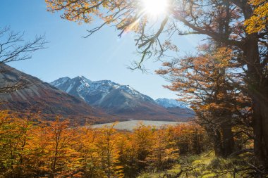 Patagonya dağlarında sonbahar sezonu, Güney Amerika, Arjantin