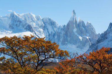 Arjantin 'in Patagonya dağlarındaki meşhur Cerro Torre zirvesi. Güney Amerika 'daki güzel dağ manzaraları. Sonbahar mevsimi.