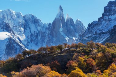 Arjantin 'in Patagonya dağlarındaki meşhur Cerro Torre zirvesi. Güney Amerika 'daki güzel dağ manzaraları. Sonbahar mevsimi.