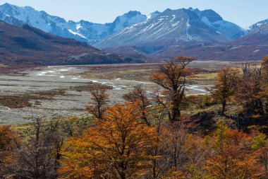 Perito Moreno Ulusal Parkı, Arjantin, Güney Amerika. Güzel renkli sonbahar mevsimi.