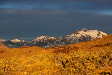 Perito Moreno Ulusal Parkı, Arjantin, Güney Amerika. Güzel renkli sonbahar mevsimi.