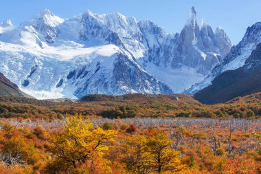 Arjantin 'in Patagonya dağlarındaki meşhur Cerro Torre zirvesi. Güney Amerika 'daki güzel dağ manzaraları. Sonbahar mevsimi.