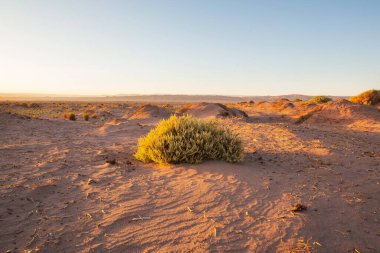 Gün doğumunda çöl, Şili, Atacama