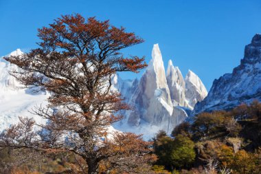 Arjantin 'in Patagonya dağlarındaki meşhur Cerro Torre zirvesi. Güney Amerika 'daki güzel dağ manzaraları. Sonbahar mevsimi.
