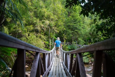 Yeşil ormanda, nehirden geçen tahta köprü.