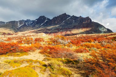 Autumn season in mountains. Colorful natural background.