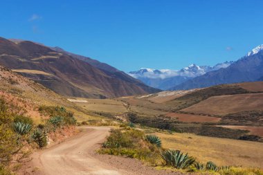 Peru, Güney Amerika 'daki yeşil dağlardaki tarım arazileri