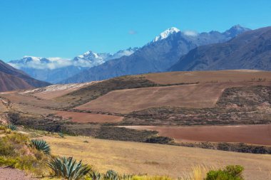 Peru, Güney Amerika 'daki yeşil dağlardaki tarım arazileri