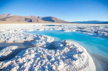 Kuzey Arjantin 'in fantastik manzaraları. Güzel, ilham verici doğal manzaralar. Salar Antofalla 'da Laguna Verde.
