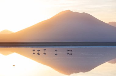Atacama Çölü, Kuzey Şili 'deki güzel doğal manzaralar.