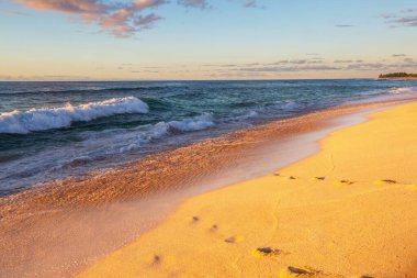 Okyanus sahili gün batımında doğal arka plan için
