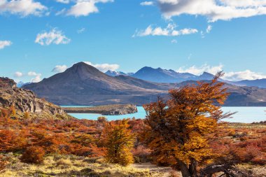 Perito Moreno Ulusal Parkı, Arjantin, Güney Amerika. Güzel renkli sonbahar mevsimi.