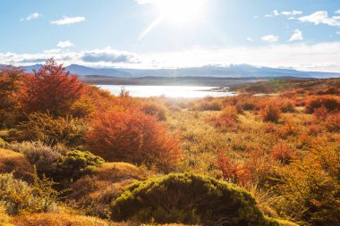 Güz mevsiminde güzel göl