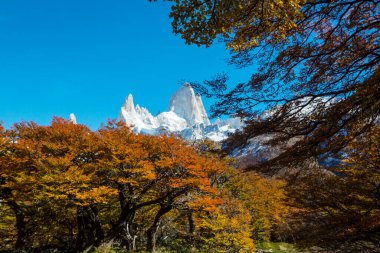Ünlü Cerro Fitz Roy ve Cerro Torre. Patagonya, Arjantin 'in en güzel ve vurgulanması en zor zirvelerinden biri. Sonbahar mevsimi.