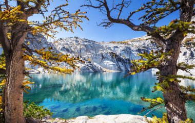 Washington, ABD 'deki güzel Alp gölleri vahşi doğa alanı