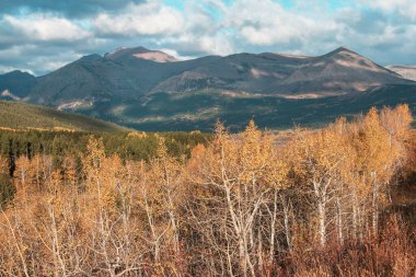 Autumn season in mountains. Colorful natural background.