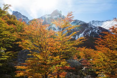Patagonya dağlarında sonbahar sezonu, Güney Amerika, Arjantin