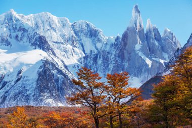 Arjantin 'in Patagonya dağlarındaki meşhur Cerro Torre zirvesi. Güney Amerika 'daki güzel dağ manzaraları. Sonbahar mevsimi.