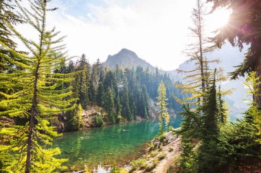 North Cascade Range, Washington, ABD 'deki güzel dağ zirvesi.