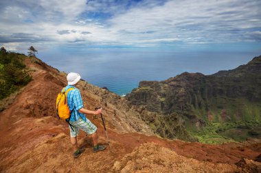 Uzun yürüyüşe çıkan kimse ormanda yeşil, Hawaii, ABD izinde