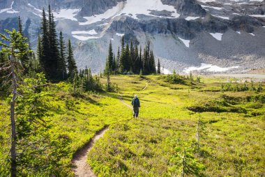 Yaz dağlarında gezginler