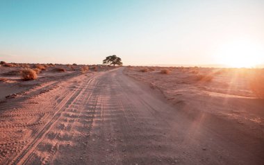 Gün doğumunda çöl, Şili, Atacama