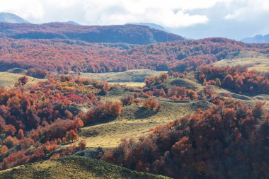 Dağlarda renkli sonbahar mevsimi