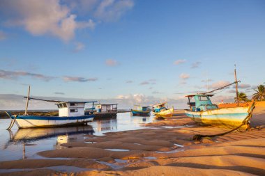 Brezilya 'da, Güney Amerika' da okyanus kıyısında balıkçı tekneleri.