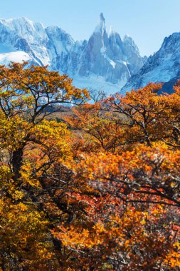 Arjantin 'in Patagonya dağlarındaki meşhur Cerro Torre zirvesi. Güney Amerika 'daki güzel dağ manzaraları. Sonbahar mevsimi.