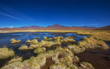 Atacama Çölü, Kuzey Şili 'deki güzel doğal manzaralar.