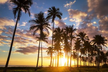 Tropikal sahildeki güzel yaz manzaraları. Tatil arkaplanı.