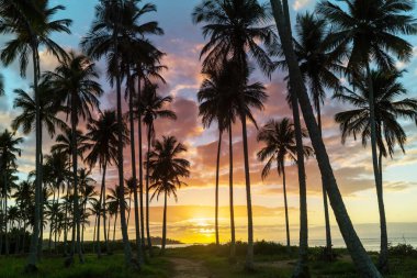 Tropikal sahildeki güzel yaz manzaraları. Tatil arkaplanı.