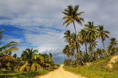 Tropikal sahildeki güzel yaz manzaraları. Tatil arkaplanı.